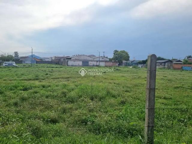 Terreno / Lote para Venda em São Leopoldo/RS Santos Dumont