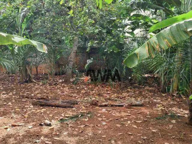 Terreno / Lote para Venda em São Luís de Montes Belos/GO Setor Central