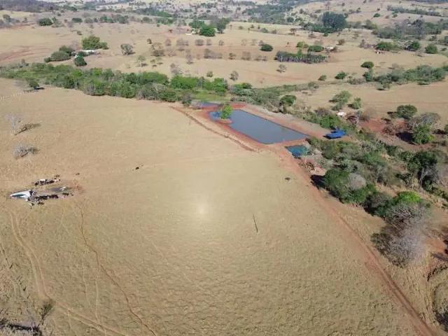 Terreno / Lote para Venda em São Luís de Montes Belos/GO Setor Central