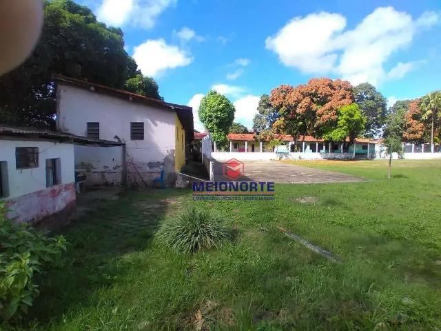 Terreno / Lote para Venda em São Luís/MA Olho D'Água