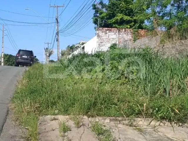 Terreno / Lote para Venda em São Luís/MA Olho D'Água