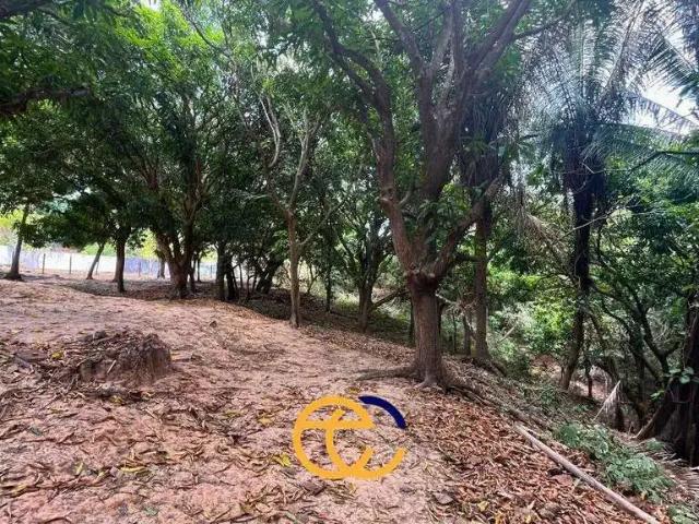 Terreno / Lote para Venda em São Luís/MA Boa Vista