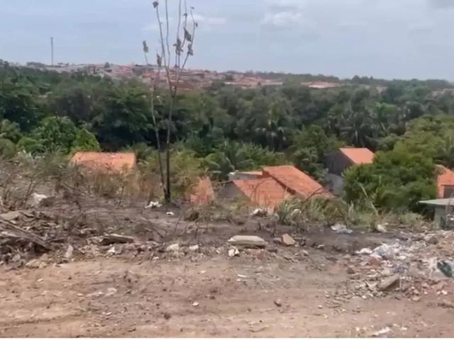 Terreno / Lote para Venda em São Luís/MA Cohafuma