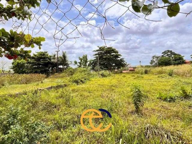 Terreno / Lote para Venda em São Luís/MA Filipinho
