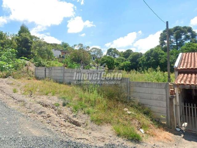 Terreno / Lote para Venda em São Mateus do Sul/PR Zona Rural