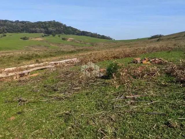 Terreno / Lote para Venda em São Martinho da Serra/RS Centro