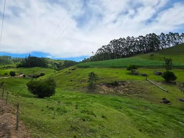 Terreno / Lote para Venda em São Martinho/SC Centro
