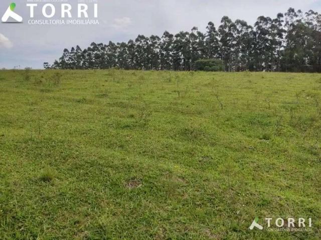 Terreno / Lote para Venda em São Miguel Arcanjo/SP Centro