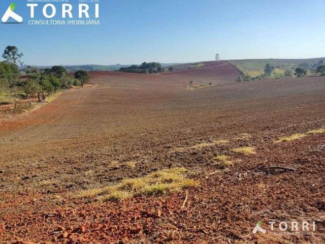 Terreno / Lote para Venda em São Miguel Arcanjo/SP Centro