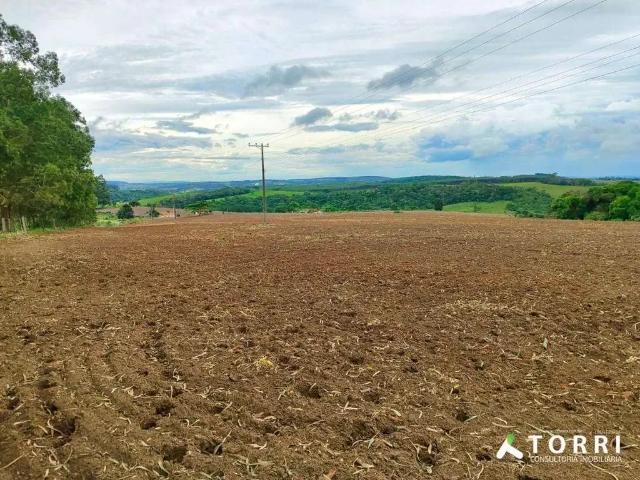 Terreno / Lote para Venda em São Miguel Arcanjo/SP Grama