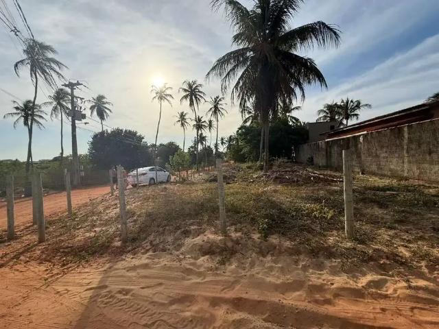 Terreno / Lote para Venda em São Miguel do Gostoso/RN Centro