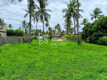 Terreno / Lote para Venda em São Miguel do Gostoso/RN Centro