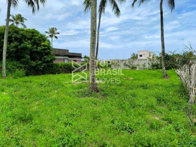 Terreno / Lote para Venda em São Miguel do Gostoso/RN Centro