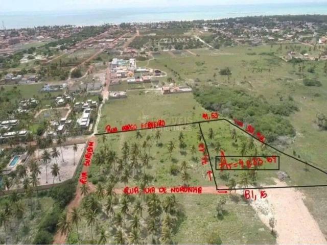 Terreno / Lote para Venda em São Miguel do Gostoso/RN Centro