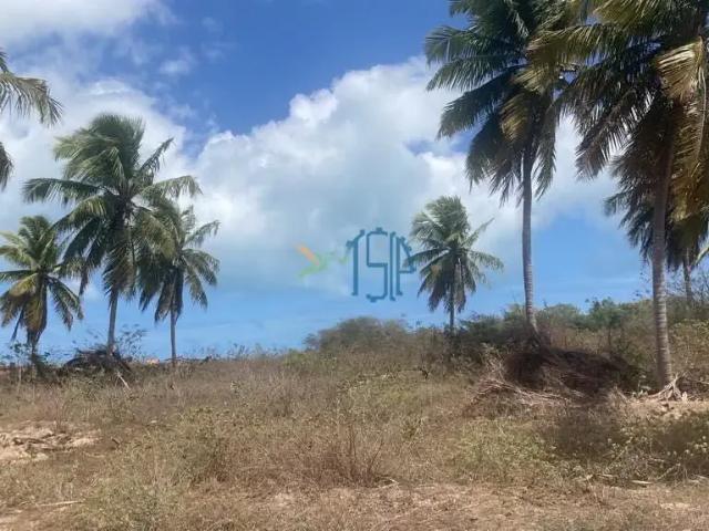 Terreno / Lote para Venda em São Miguel do Gostoso/RN Centro