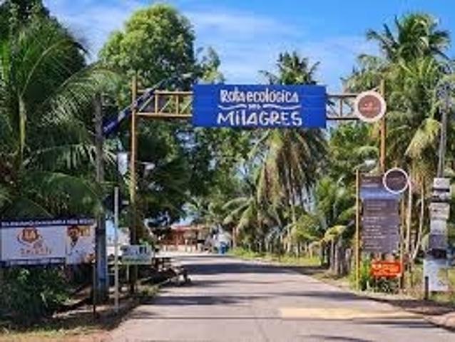 Terreno / Lote para Venda em São Miguel dos Milagres/AL Centro