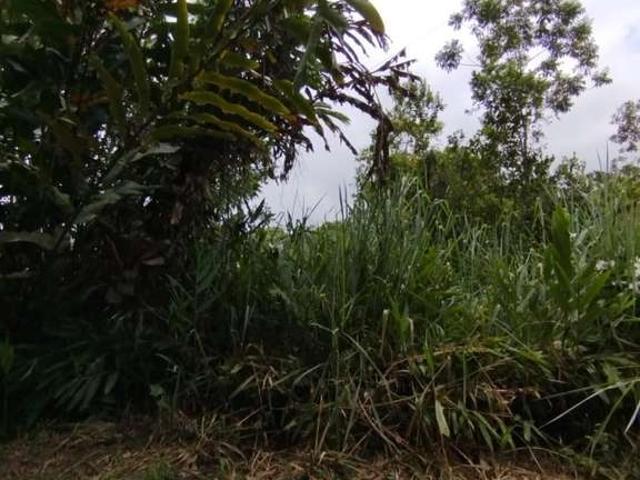 Terreno / Lote para Venda em São Sebastião/SP Boracéia