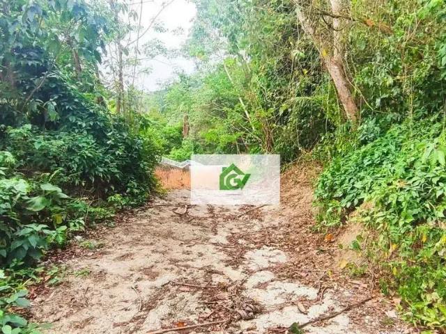 Terreno / Lote para Venda em São Sebastião/SP Barequecaba