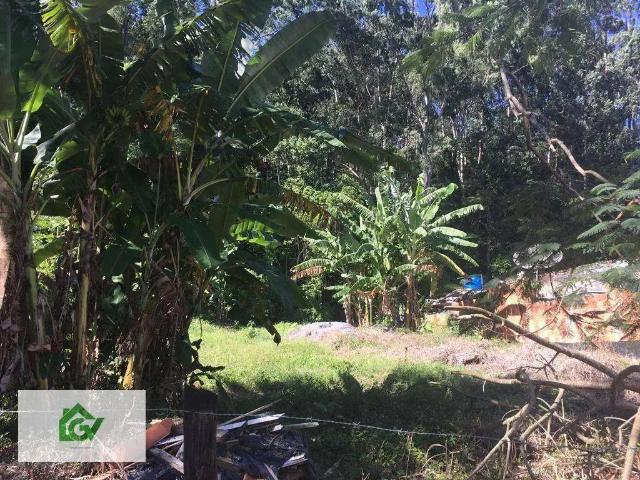 Terreno / Lote para Venda em São Sebastião/SP Barequecaba