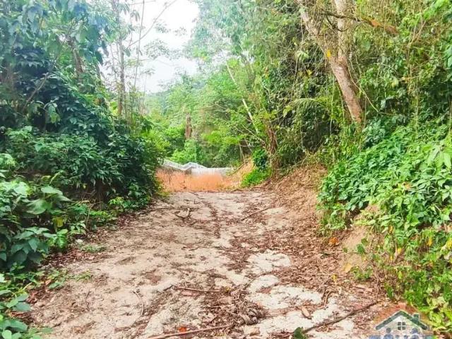 Terreno / Lote para Venda em São Sebastião/SP Barequecaba