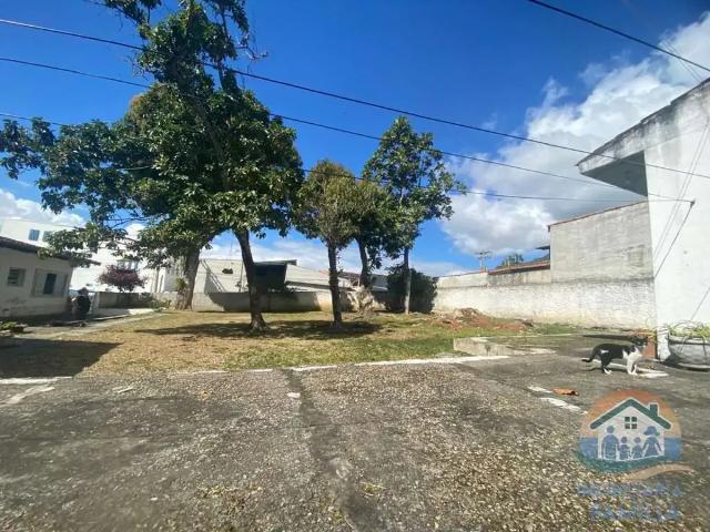 Terreno / Lote para Venda em São Sebastião/SP São Francisco da Praia