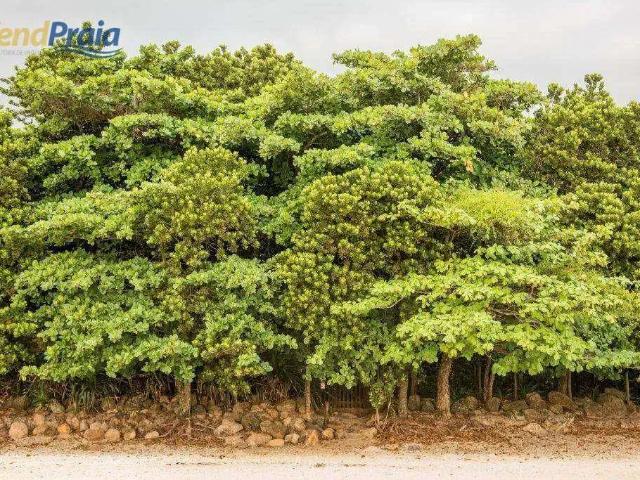 Terreno / Lote para Venda em São Sebastião/SP Santiago