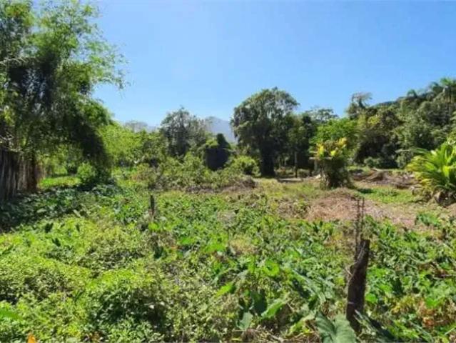 Terreno / Lote para Venda em São Sebastião/SP Sertão do Camburi