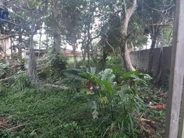 Terreno / Lote para Venda em São Sebastião/SP Pontal da Cruz