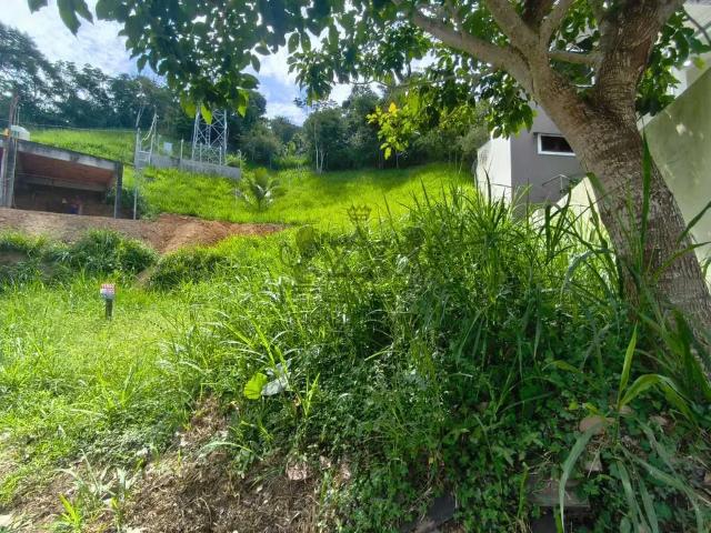 Terreno / Lote para Venda em São Sebastião/SP Praia do Arrastão