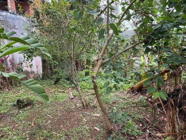Terreno / Lote para Venda em São Sebastião/SP Toque Toque Pequeno