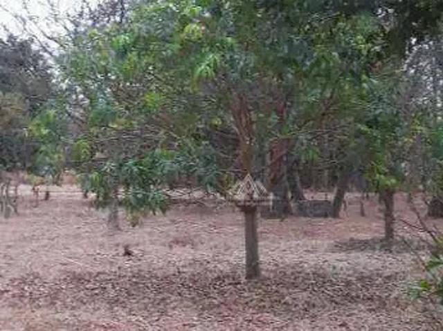 Terreno / Lote para Venda em São Simão/SP Zona Rural
