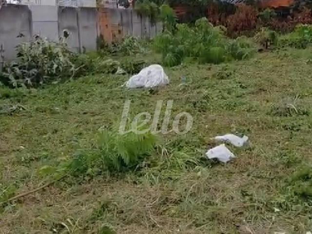 Terreno / Lote para Venda em São Paulo/SP Tatuapé