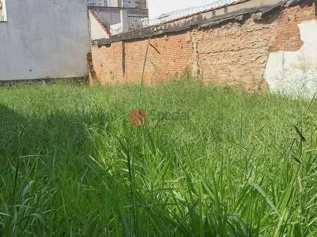 Terreno / Lote para Venda em São Paulo/SP Tatuapé