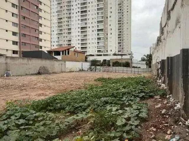Terreno / Lote para Venda em São Paulo/SP Tatuapé