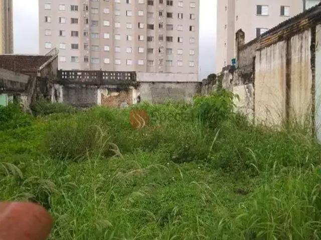 Terreno / Lote para Venda em São Paulo/SP Tatuapé