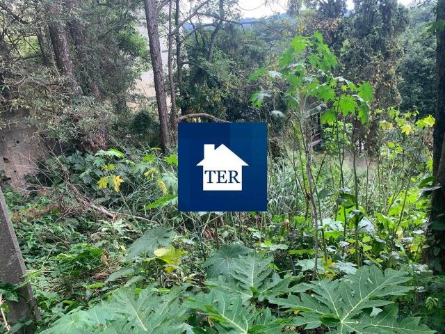 Terreno / Lote para Venda em São Paulo/SP Tremembé