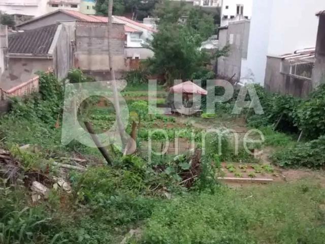 Terreno / Lote para Venda em São Paulo/SP Tremembé