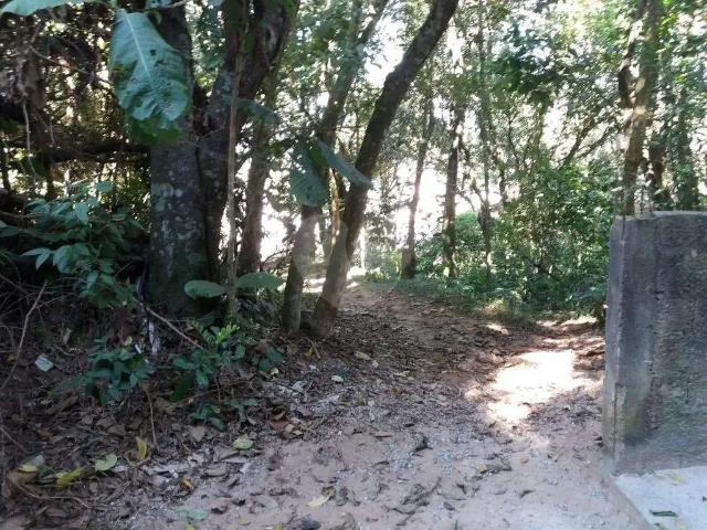 Terreno / Lote para Venda em São Paulo/SP Tremembé