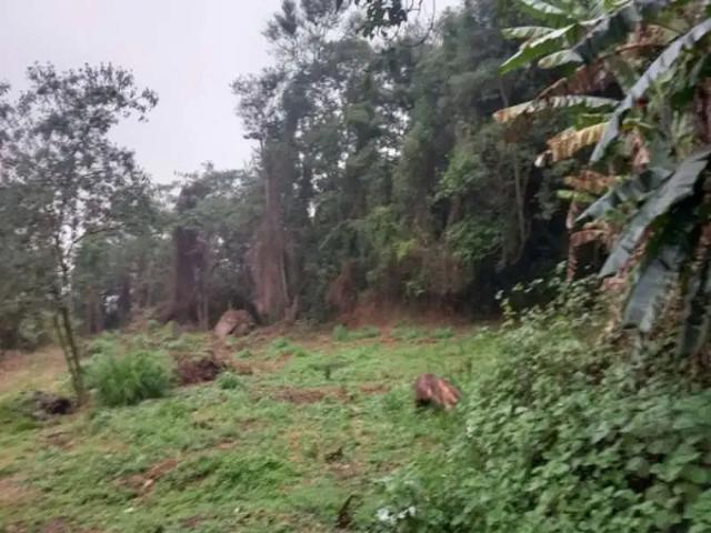 Terreno / Lote para Venda em São Paulo/SP Tremembé