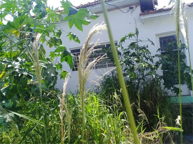 Terreno / Lote para Venda em São Paulo/SP Tucuruvi