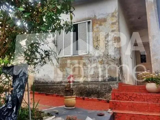 Terreno / Lote para Venda em São Paulo/SP Tucuruvi