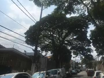 Terreno / Lote para Venda em São Paulo/SP Tucuruvi