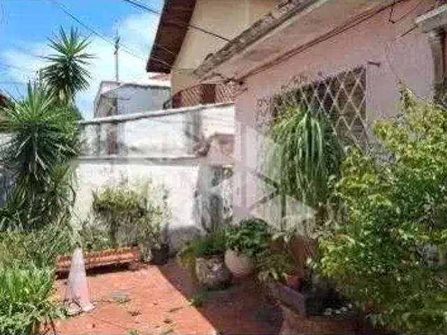 Terreno / Lote para Venda em São Paulo/SP Tucuruvi
