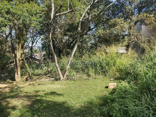 Terreno / Lote para Venda em São Paulo/SP Tucuruvi