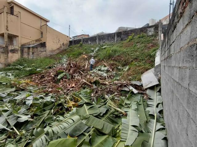 Terreno / Lote para Venda em São Paulo/SP Tucuruvi