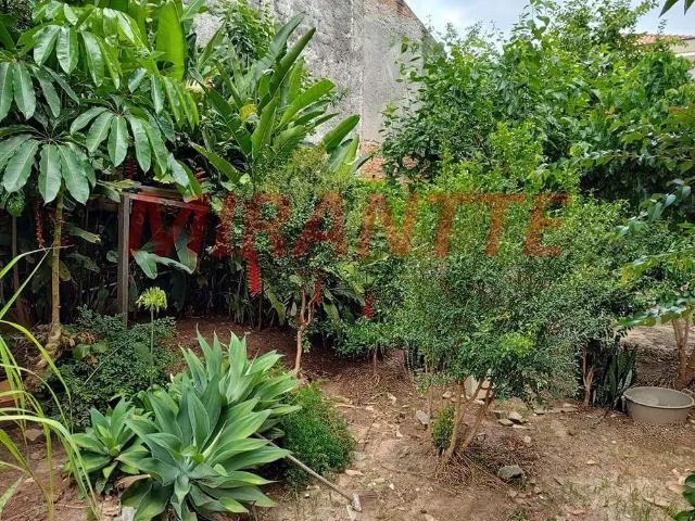 Terreno / Lote para Venda em São Paulo/SP Tucuruvi
