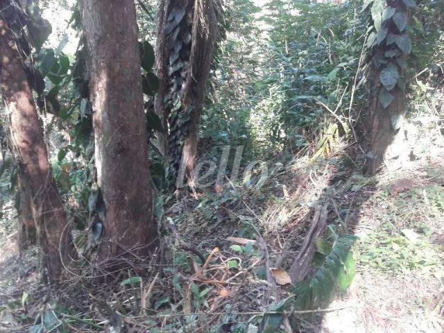 Terreno / Lote para Venda em São Paulo/SP Tucuruvi