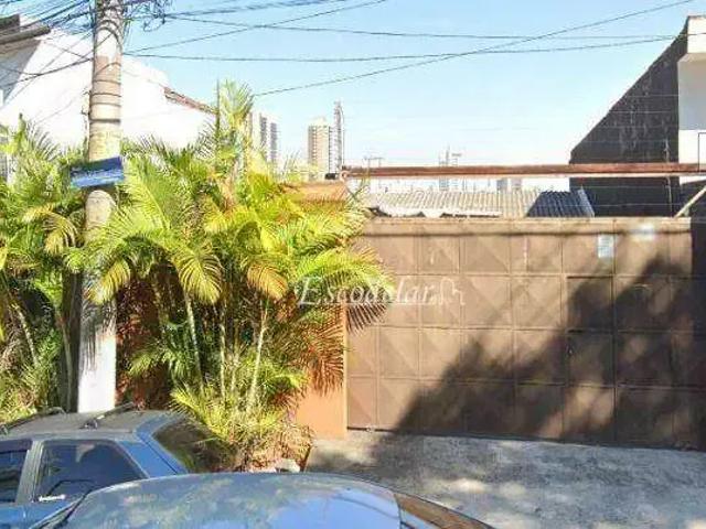 Terreno / Lote para Venda em São Paulo/SP Jardim Franca