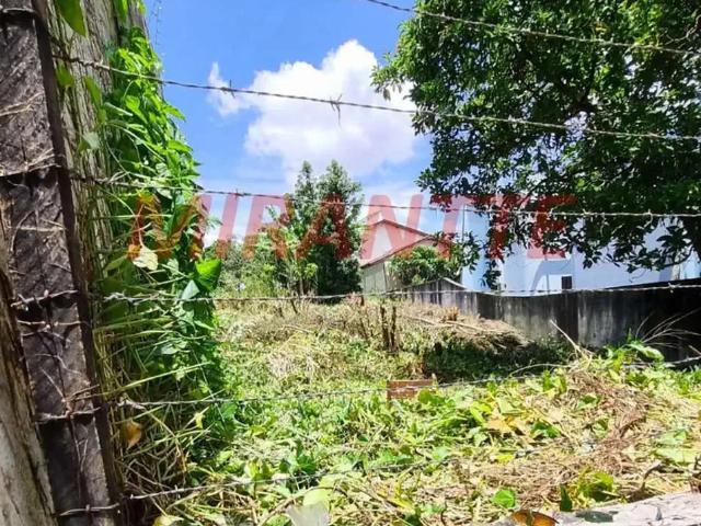 Terreno / Lote para Venda em São Paulo/SP Tucuruvi