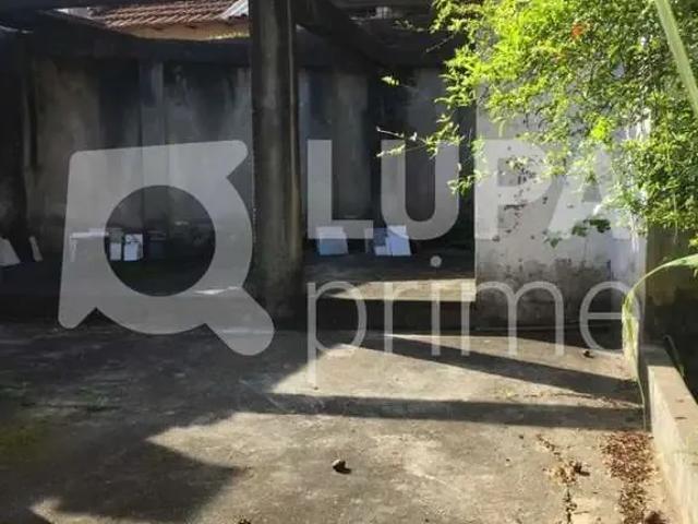 Terreno / Lote para Venda em São Paulo/SP Tucuruvi